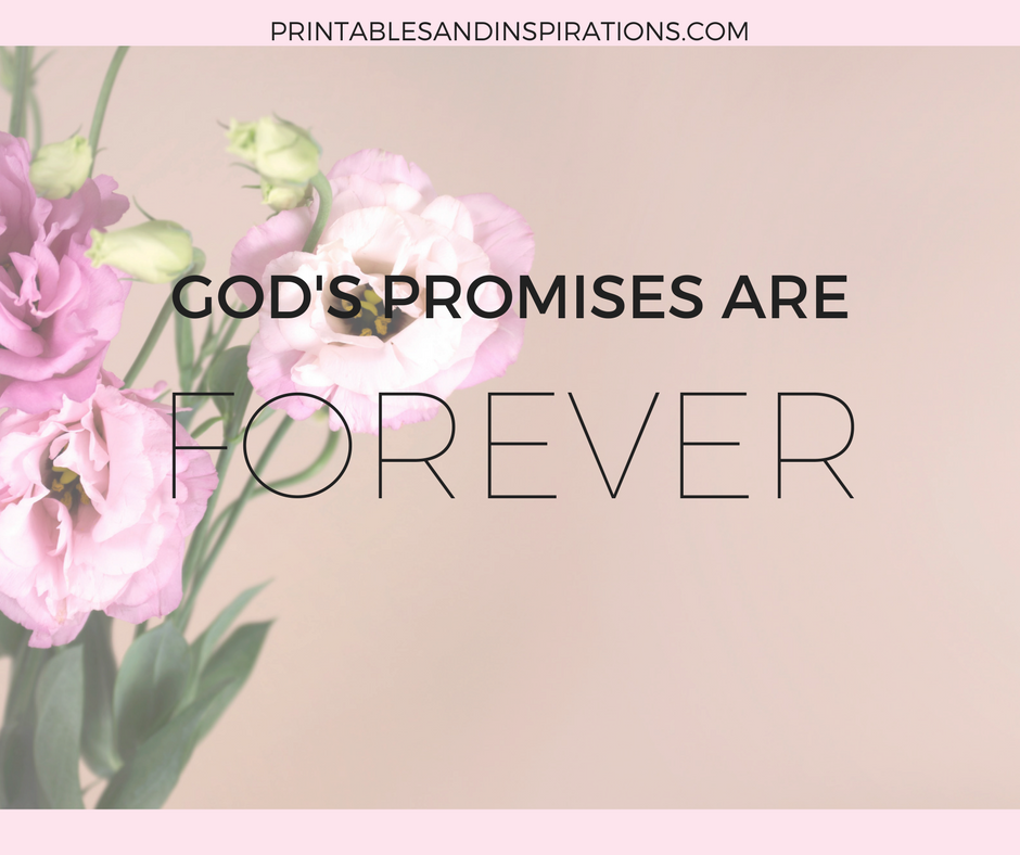 God's promises| Bible study | Bible verse | Inspirational Quote | Faith | Christian