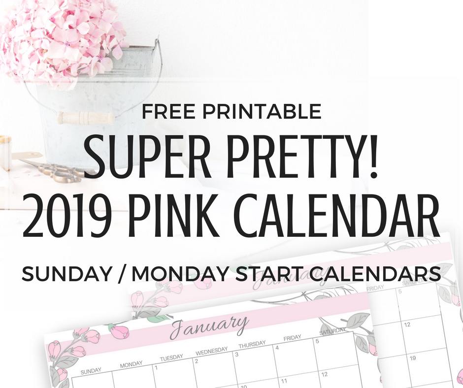 2019 calendar free printable in floral pink color, monthly calendar for 12 months of the year, Sunday and Monday start calendars. Get your free download now!