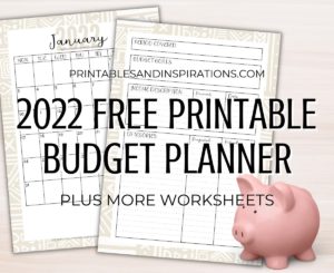 Free Printable 2022 Budget Planner #bulletjournal #freeprintable #billstracker #expensetracker #budgettracker #budgetplanner #diyplanner