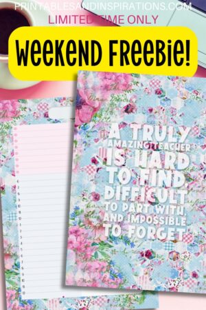 teacher planner daily planner page #freeprintable #teacherprintable #printablesandinspirations #teacherplanner